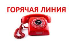 Управление социального питания Санкт-Петербрга  https://www.gov.spb.ru/gov/otrasl/socpit/
Управлением для оперативного реагирования на обращения в сфере социального питания организована работа "горячей линии", где можно задать вопросы, связанные с ассортиментом продукции и качеством блюд в столовых образовательных организаций. Горячая линия работает по будням с 9.00 до 18.00 по телефону: (812) 576-68-13.

Кроме того, свои обращения можно направлять через мобильные приложения МАХ и Telegram по телефону 8(931) 326-68-07, в социальной сети ВКонтакте: https://vk.com/uspitspb а так же по почтовому адресу: 191060, Санкт‑Петербург, Смольный пр., д.1, лит. Б и в формате электронного документа, с помощью Единого портала обращений граждан https://letters.gov.spb.ru